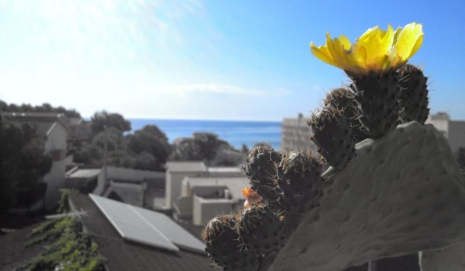 Due Passi Dal Mare