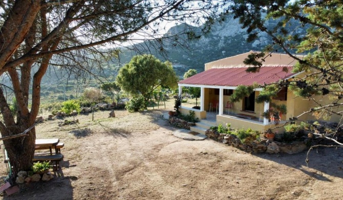 K&K House