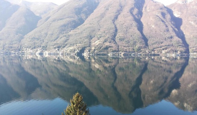 Giardino sul lago, La Vigna