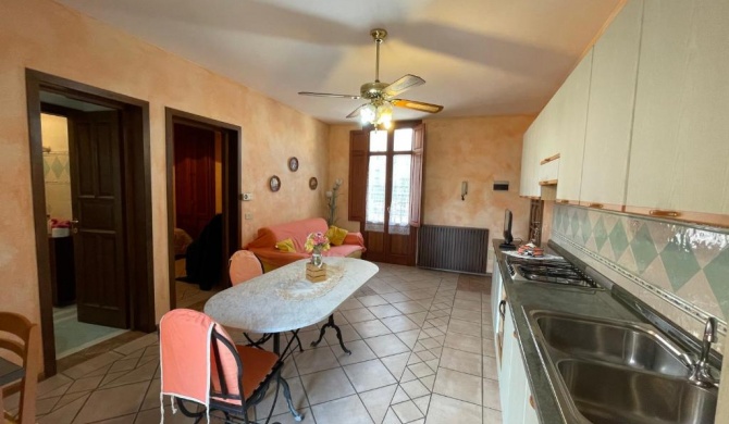 Suite Nc15