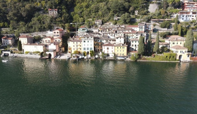 Lugano Lake, nido del cigno