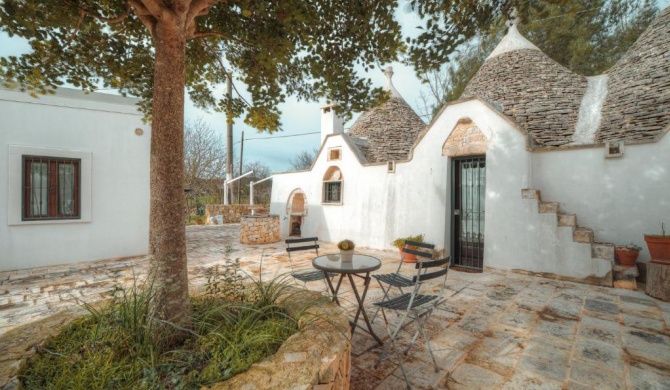 Casa Surya by Typney