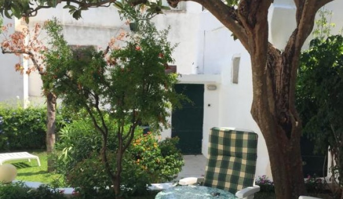 DORIANA GARDEN HOUSE