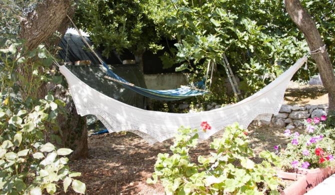 Ostuni home nature