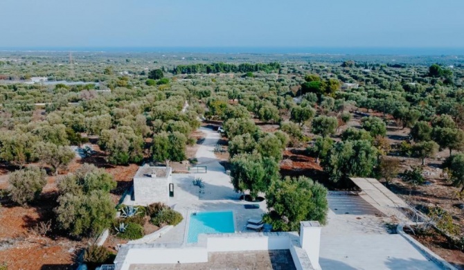 Tenuta Matilda