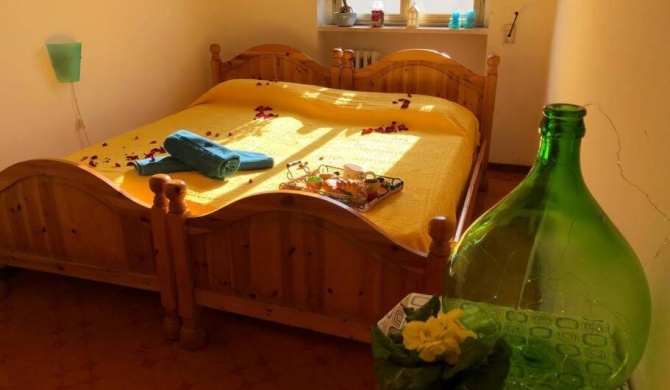 Vacation Apulia Properties - Magnolia apartment