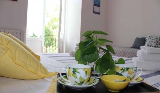 Home Cosma&Damiano
